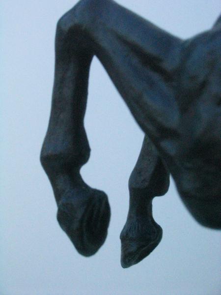 large101_2730m.jpg