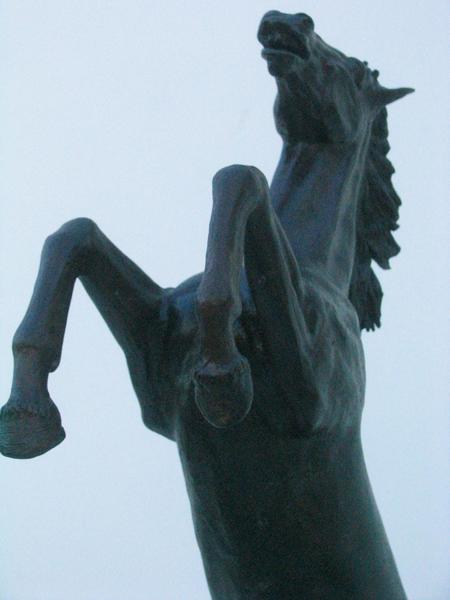 large101_2739m.jpg