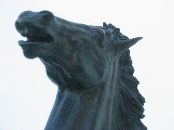 large101_2740.jpg