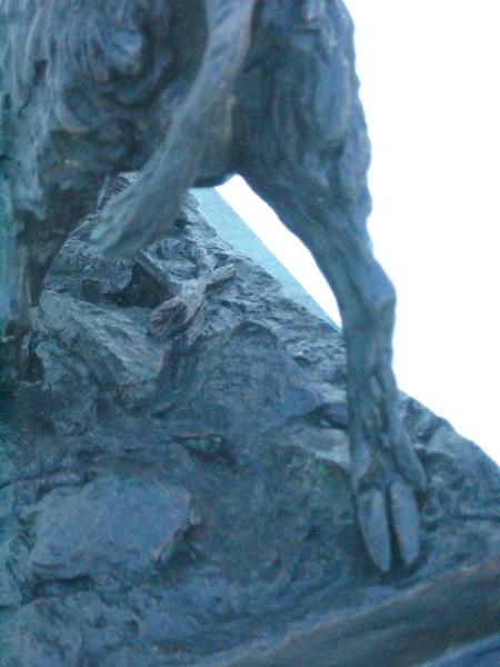 large101_2658m.jpg