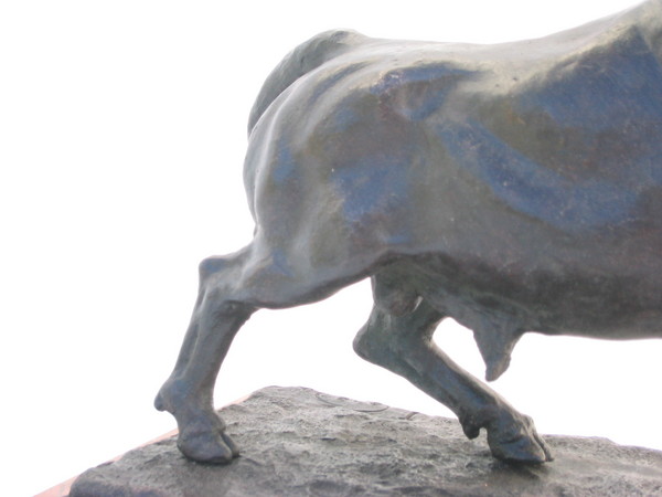 largem101_2227.jpg